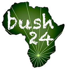 bush 24